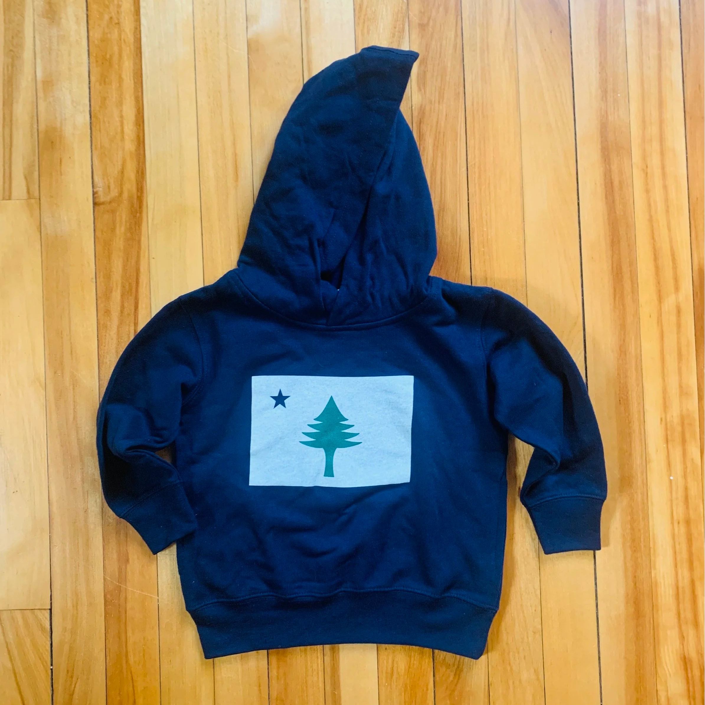 Kids Original Maine Flag Pullover Hoodie
